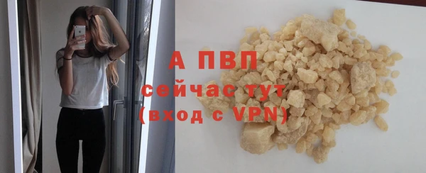 гидра Арсеньев