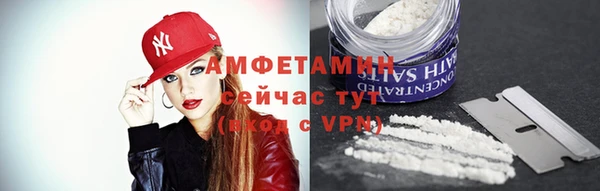 гидра Арсеньев