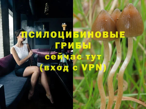 MDMA Аркадак